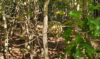 County Road 118, Annapolis, MO 63620