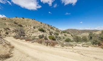 0 Vac/Mt Emma Rd, Acton, CA 91350
