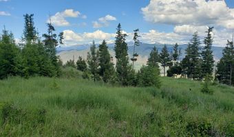 Arlee Pines lot 21, Arlee, MT 59821