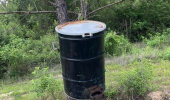 40 Acres Forestry Road 356, Beaumont, MS 39423