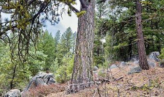 Tbd Hilltop Road 43 & 44, Cascade, ID 83611