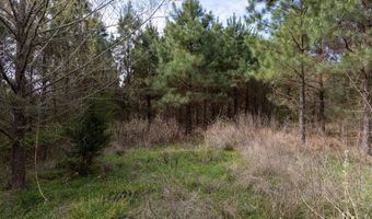 Tbd Pump Station Rd, Ashdown, AR 71822