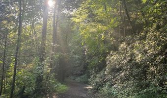 118 Rich Creek Rd, Ansted, WV 25812