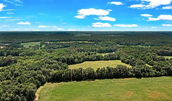 00 Ed Wood Rd, Bells, TN 38006
