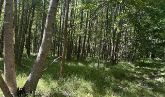 001 Farr Rd, Bolton, MS 39041