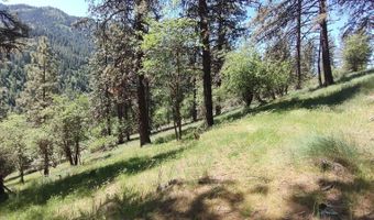 400 Bobcat Dr, Ahsahka, ID 83520