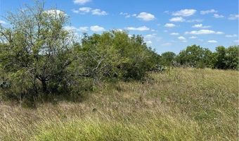 608 CR 1162, Alice, TX 78332