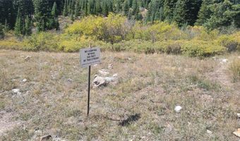 Ms # 19173 SAMSON -50%, Alma, CO 80420