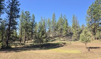 11446 Fisher St, Bonanza, OR 97623