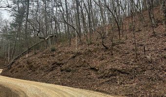 Tatham Gap Road, Andrews, NC 28901