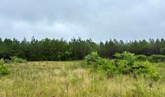 CR 265, Bruce, MS 38915