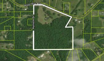 515 HOYT HILL Rd, Ashville, AL 35953