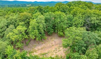 100 Block SPANISH MINE, Jessieville, AR 71909