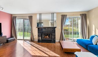 737 W Happfield Dr, Arlington Heights, IL 60004