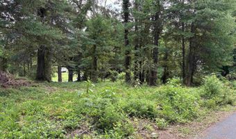 7 TH Ave Lot 1, Ashville, AL 35953
