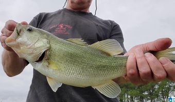 6150 SHOAL CREEK Rd 124+/- Acres, Ashville, AL 35953