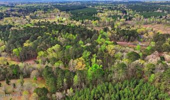 Harrisville Braxton Road, Braxton, MS 39044