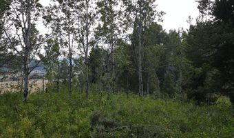 PINE Street lot 4, Alpine, WY 83128