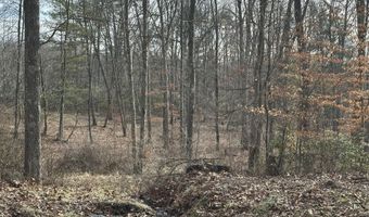 Rt. 1 Muddy Creek Mountain, Alderson, WV 24910