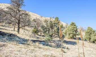 3221 Reese Ln, Gardnerville, NV 89410