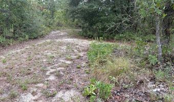 4539 NW Miller/White LN Rd, Altha, FL 32421