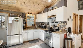 226 Hall Rd, Bailey, CO 80421