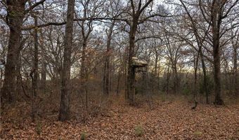 Tract 2 Acme Rd, Asher, OK 74826