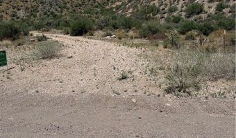 Carp Road, Caliente, NV 89008