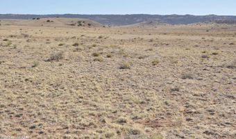 986 Concho Hwy, Concho, AZ 85924