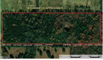 0 CR 4236, De Kalb, TX 75559
