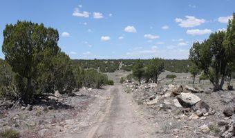 N8190, Concho, AZ 85924