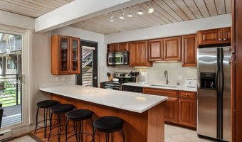 1039 E Cooper Ave #41, Aspen, CO 81611