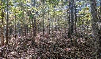 County Road 204, Alton, MO 65606