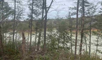 Lot 59 SIPSEY OVERLOOK DRIVE 59, Double Springs, AL 35553