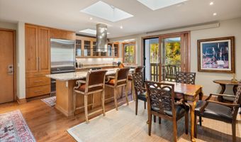 1020 E Hopkins Ave 9, Aspen, CO 81611