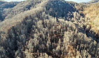 NC 209 Highway, Aurora, NC 28743