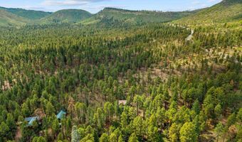 6 County Road 2070, Alpine, AZ 85920