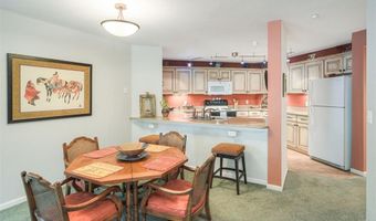 93 Pelican Cir 802, Breckenridge, CO 80424