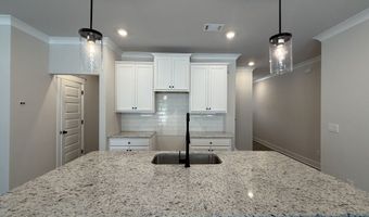 317 Brook Landing Cir, Auburn, GA 30011