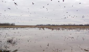 3300 Sheppard Island Rd, Altheimer, AR 72004