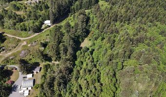 20452 Whaleshead Rd, Brookings, OR 97415