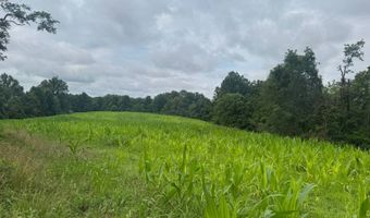 37928 Buck Run Rd, Albany, OH 45710