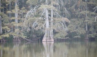 Bolivar Road, Benoit, MS 38725