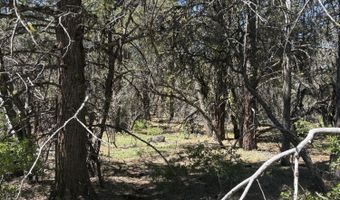 Chickadee Drive lot 10, Bonanza, OR 97623
