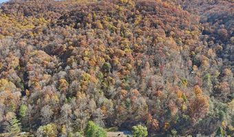 480 Paint Fork Rd, Barnardsville, NC 28709