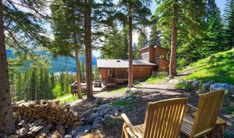 926 Nuthatch Dr, Alma, CO 80420