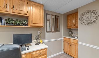 307 Blue Ridge Place Ct, Ballwin, MO 63011