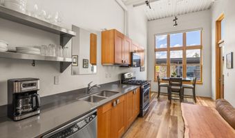 231 Robinson St 302, Basalt, CO 81621