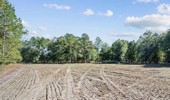 7901 Ashleigh Rd, Blackville, SC 29817