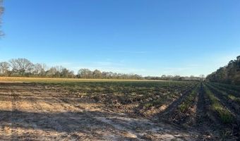 S Hospital Drive, Abbeville, LA 70510